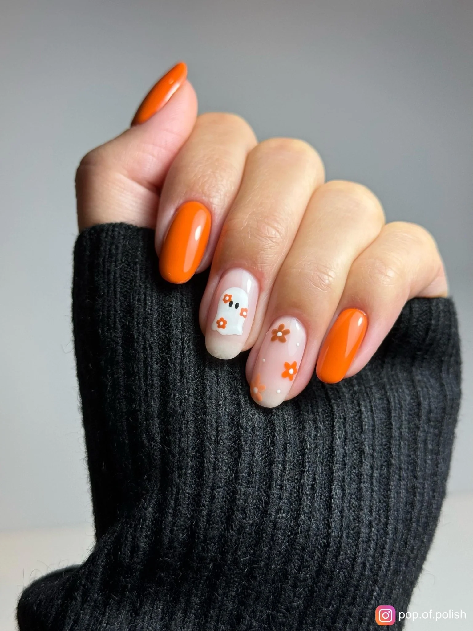 FALL HARVEST - Image 3