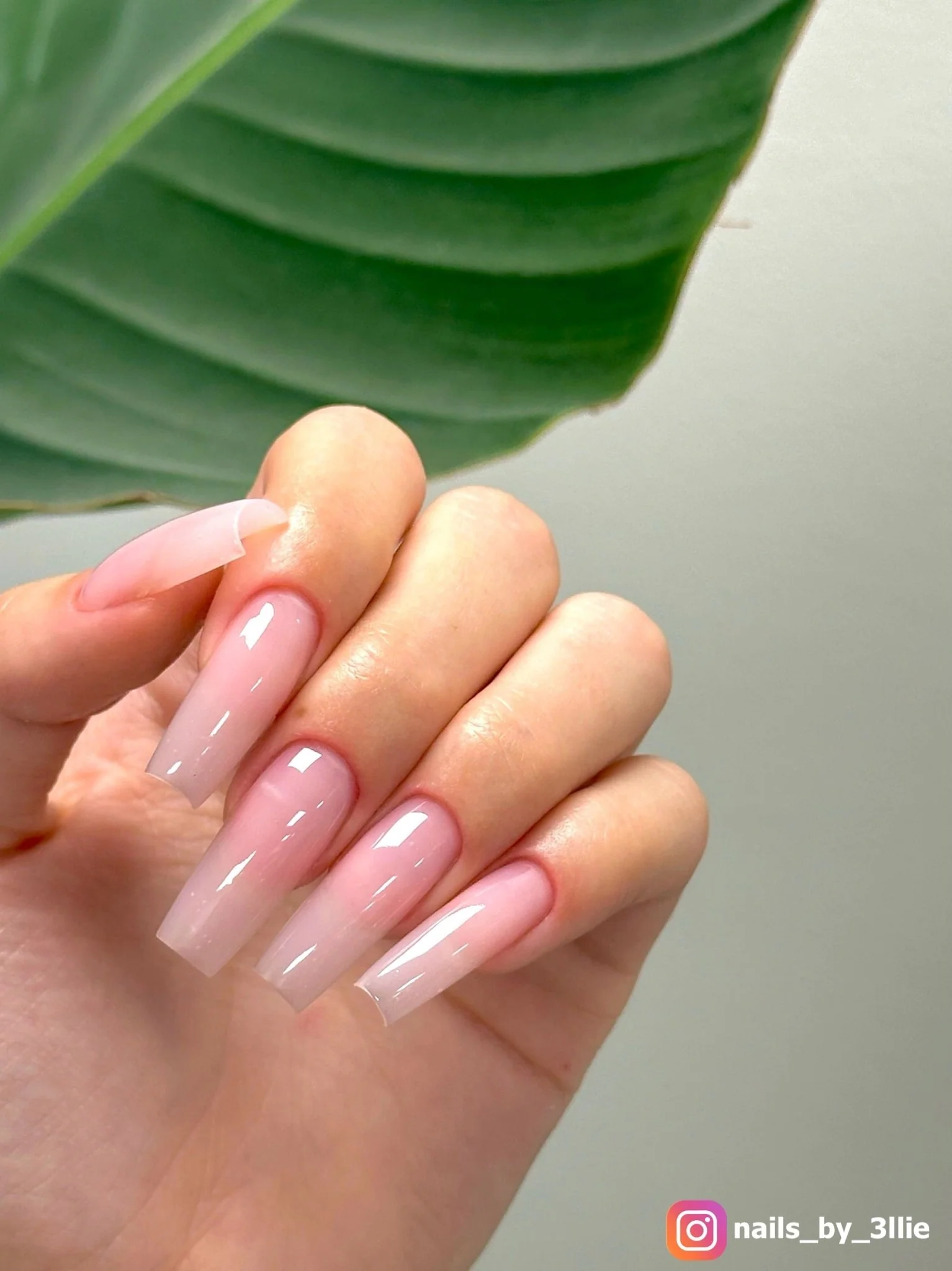 HARD STRUCTURE FIBER GEL ROSE PETAL (MADE IN USA) - Image 3