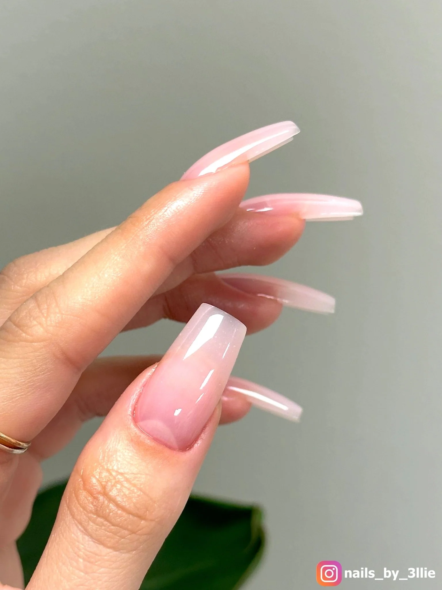 HARD STRUCTURE FIBER GEL ROSE PETAL (MADE IN USA) - Image 4