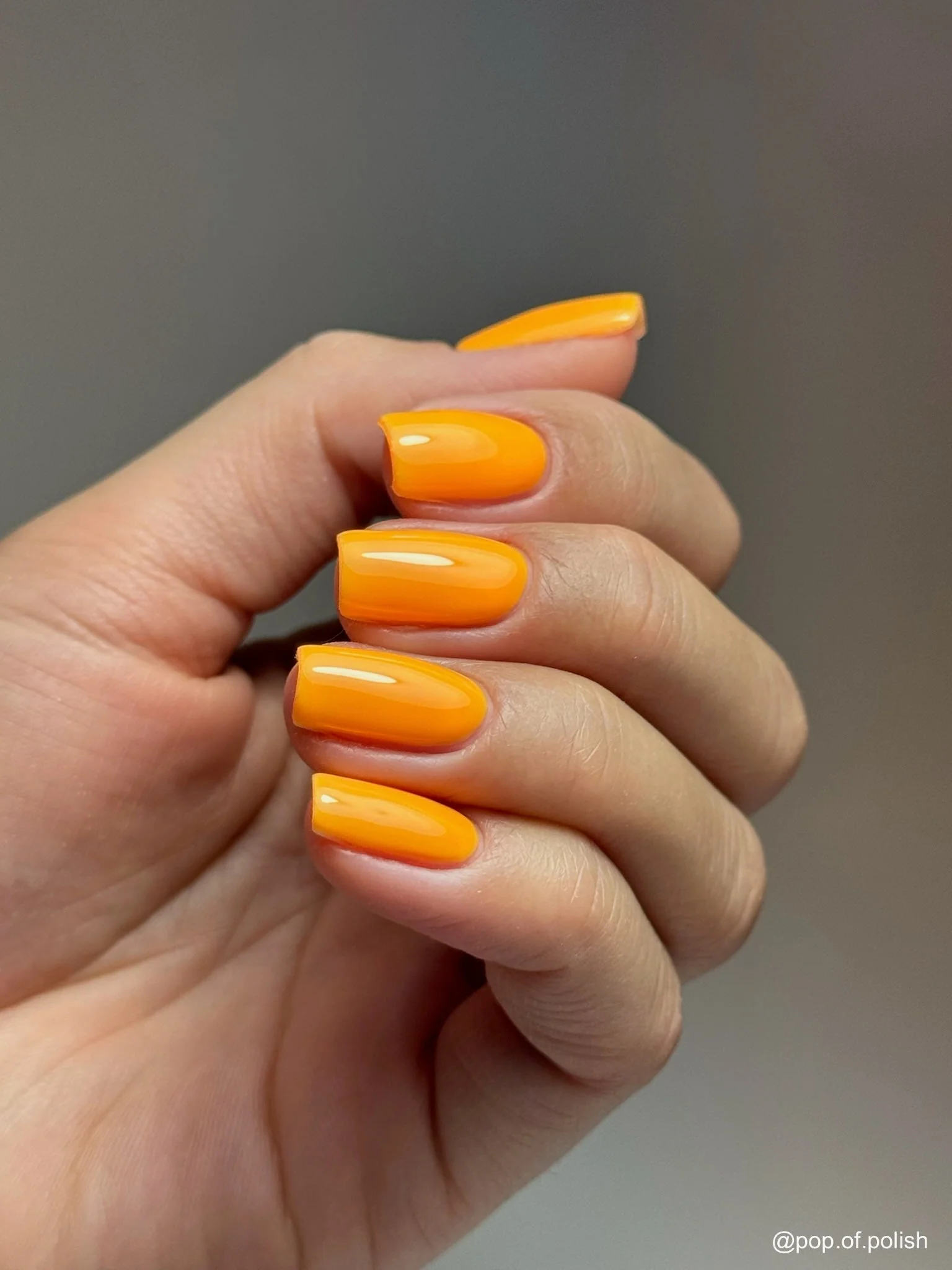 TANGERINE MELT - Image 3