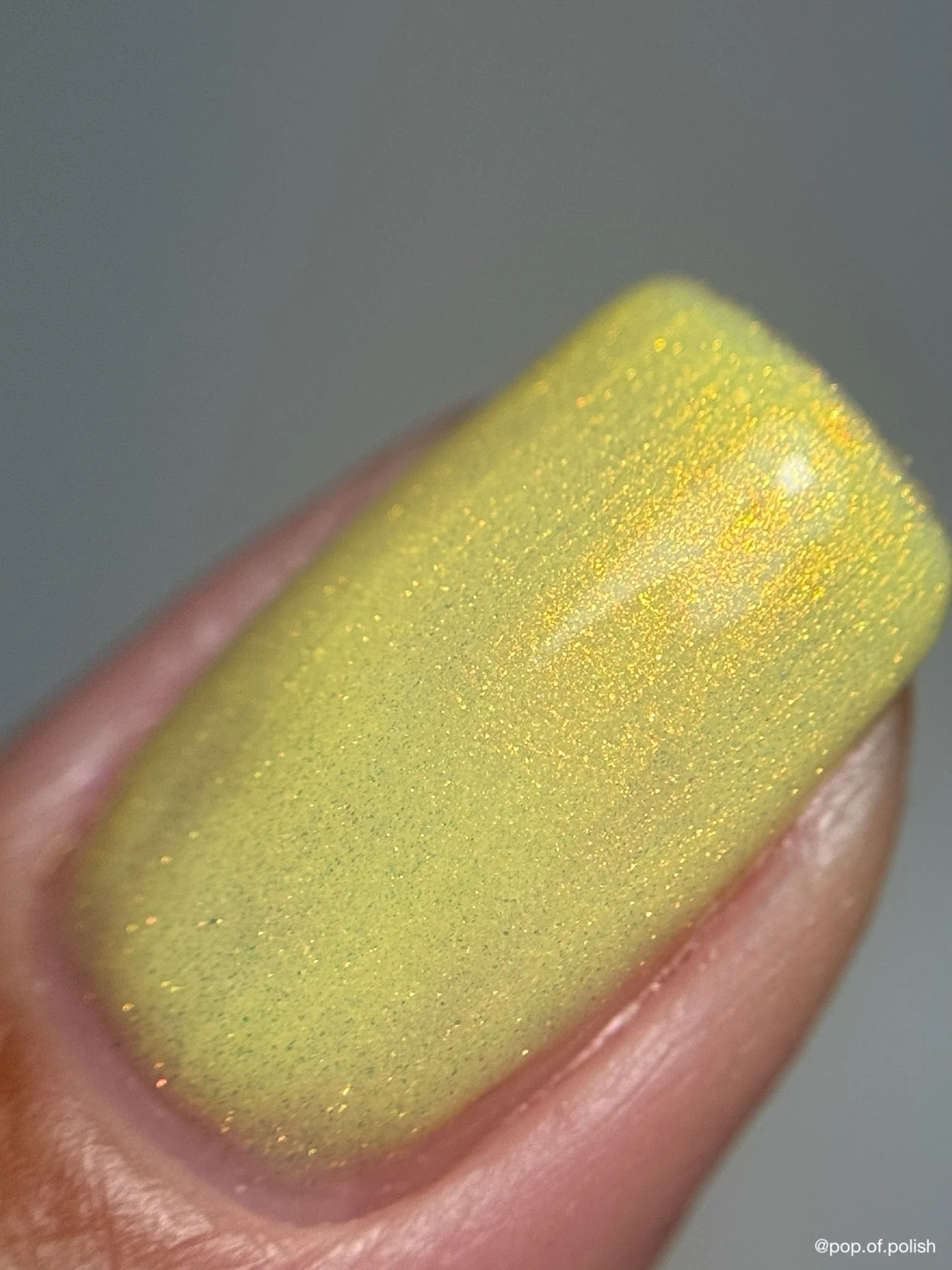 MARIGOLD - Image 2
