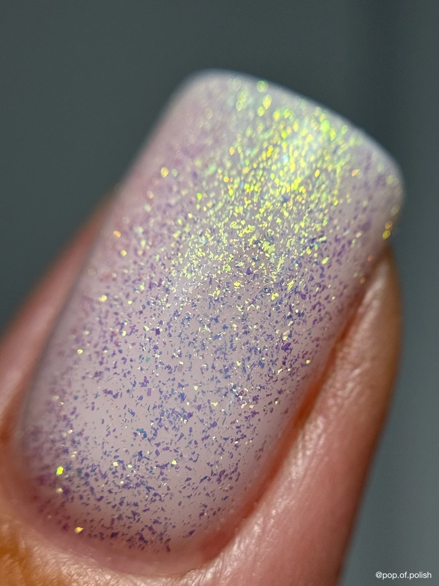 PIXIE DUST - Image 2