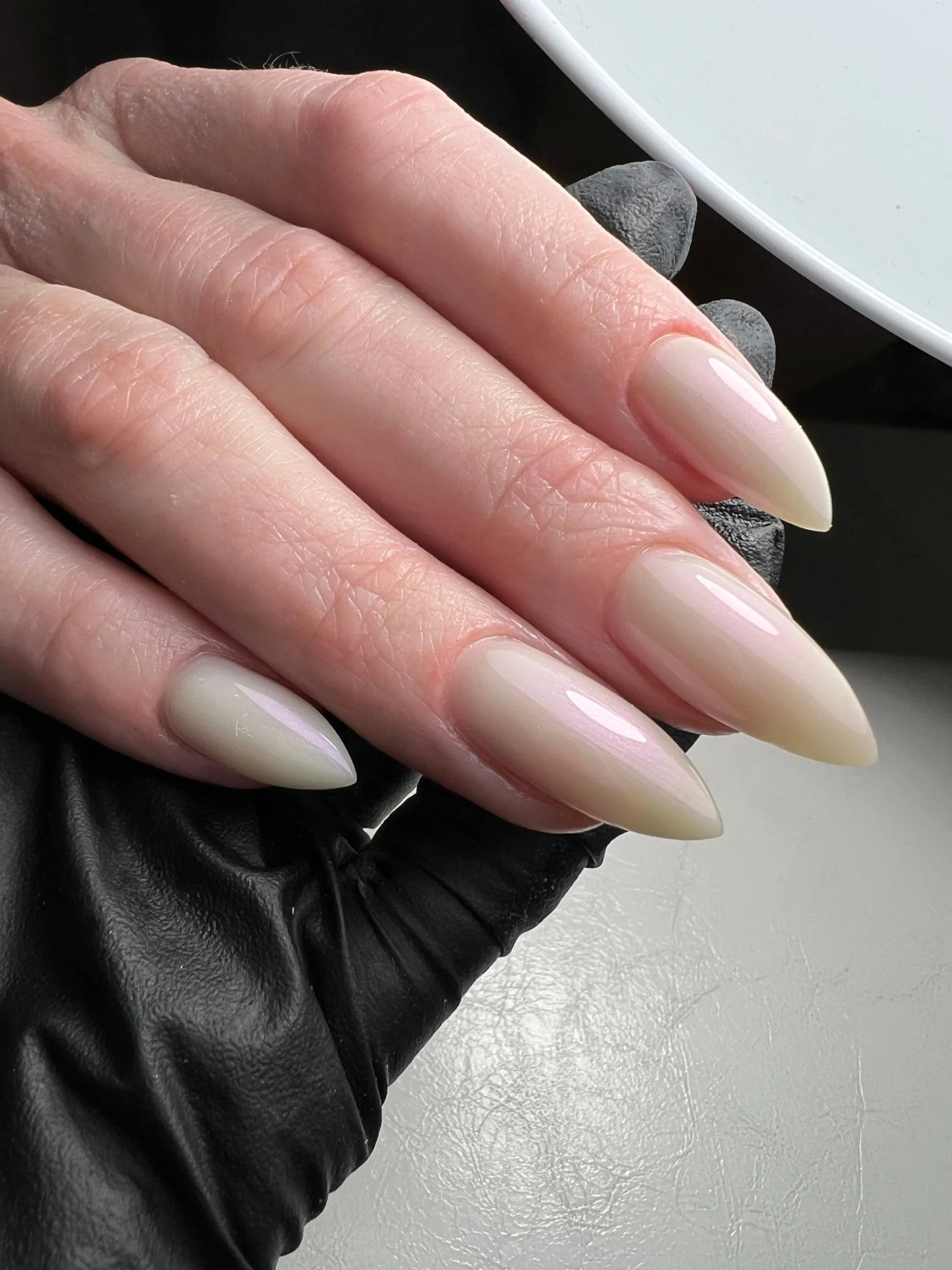 SEASHELL - Image 2