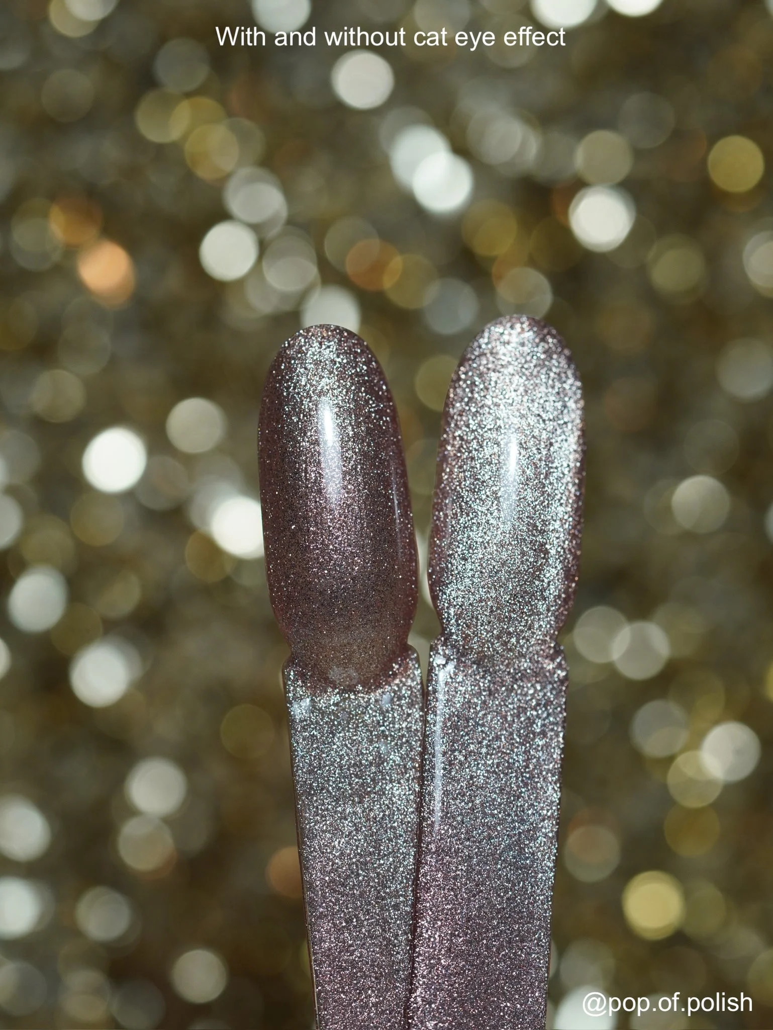 TINSEL CAT-EYE - Image 3